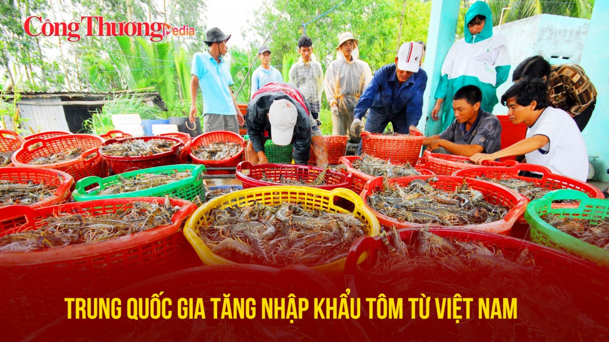 TRUNG QUỐC GIA TĂNG NHẬP KHẨU T&Ocirc;M TỪ VIỆT NAM