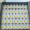 TRICHLOROISOCYANURIC ACID 90% (TCCA 90%)